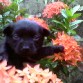 mi hijo bebesito